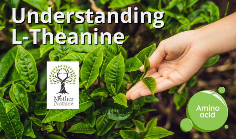 L-Theanine and Caffeine: The Perfect Combo for Calm Energy