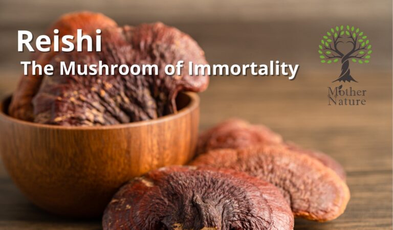 Reishi, Cordyceps, Lion’s Mane: The Mushroom Trio for Immune & Brain Power
