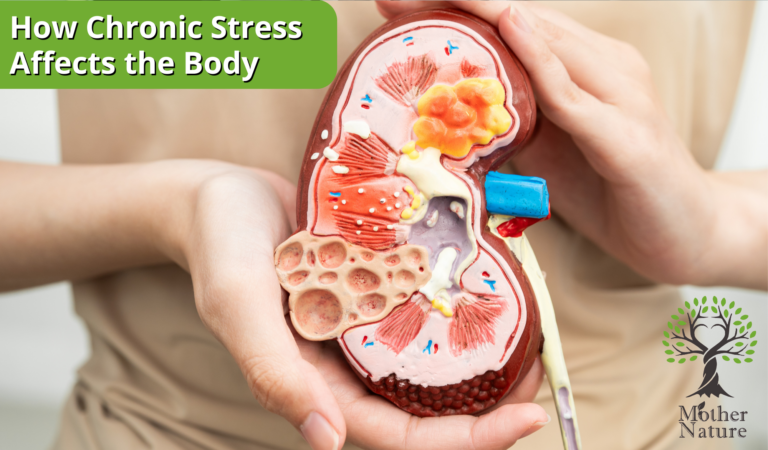 Stress Support – Natural Ways to Restore Calm and Balance