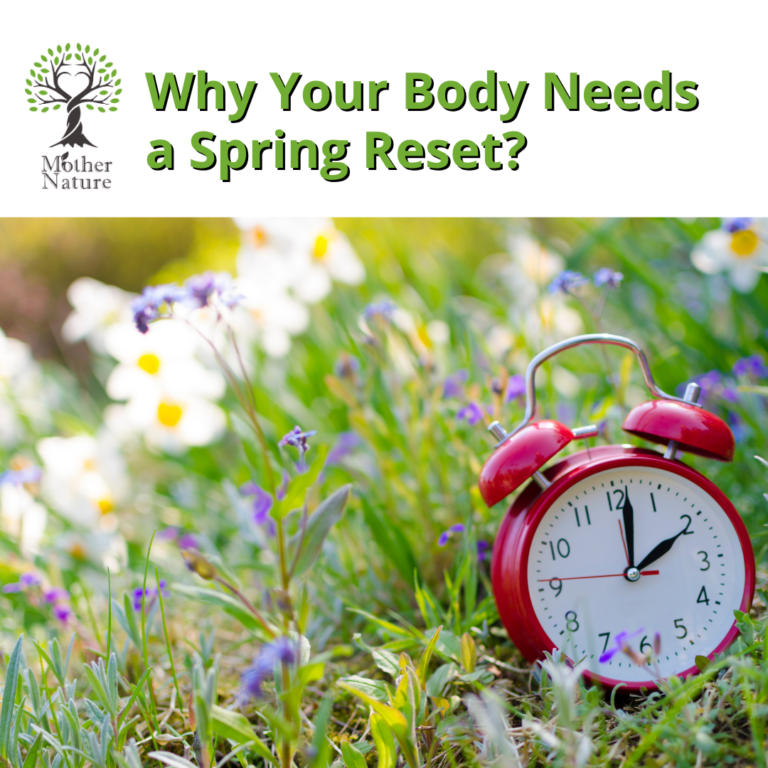 Spring Reset – How to Support Your Body After Winter