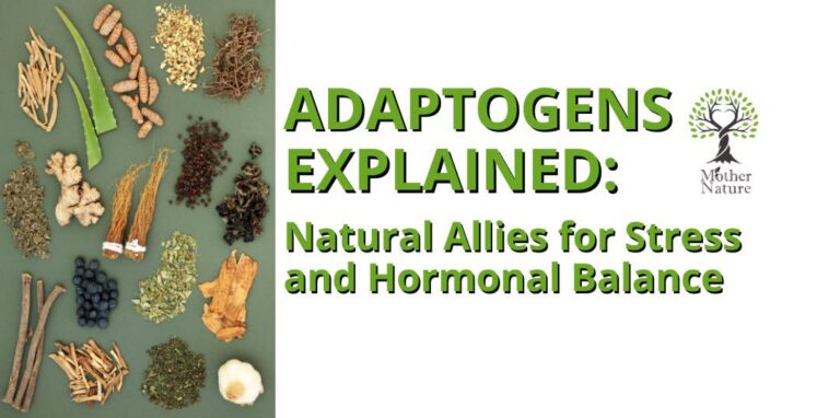 Adaptogens Explained: Natural Allies for Stress and Hormonal Balance