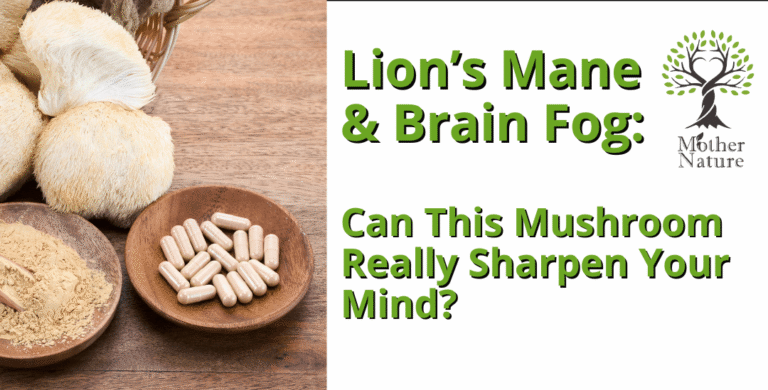 Lion’s Mane & Brain Fog: Can This Mushroom Really Sharpen Your Mind?