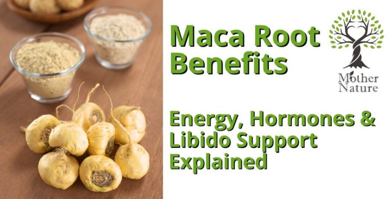 Maca Root Benefits: Energy, Hormones & Libido Support Explained