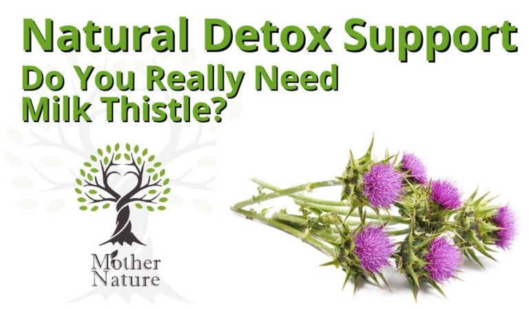 Natural Detox Support: Do You Really Need Milk Thistle?